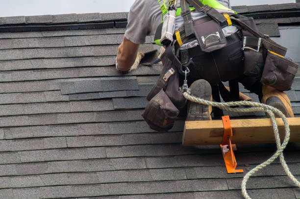 Affordable siding repair and maintenance services in Coloma, MI