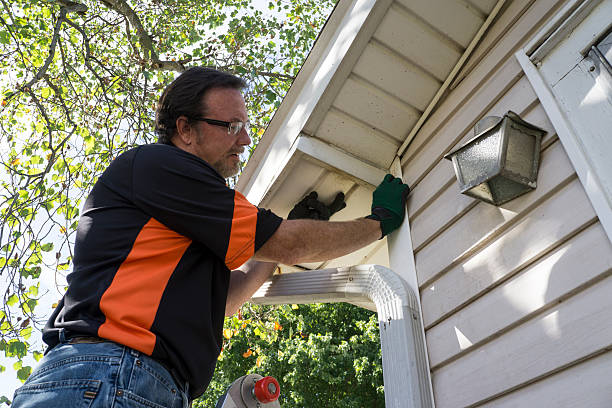 Best Stucco Siding  in Coloma, MI